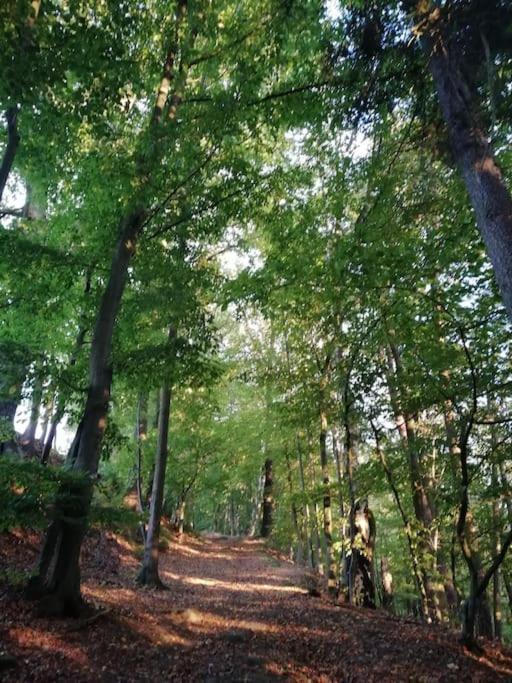 Ferienwohnung Fuer Naturfreunde Rathmannsdorf Extérieur photo